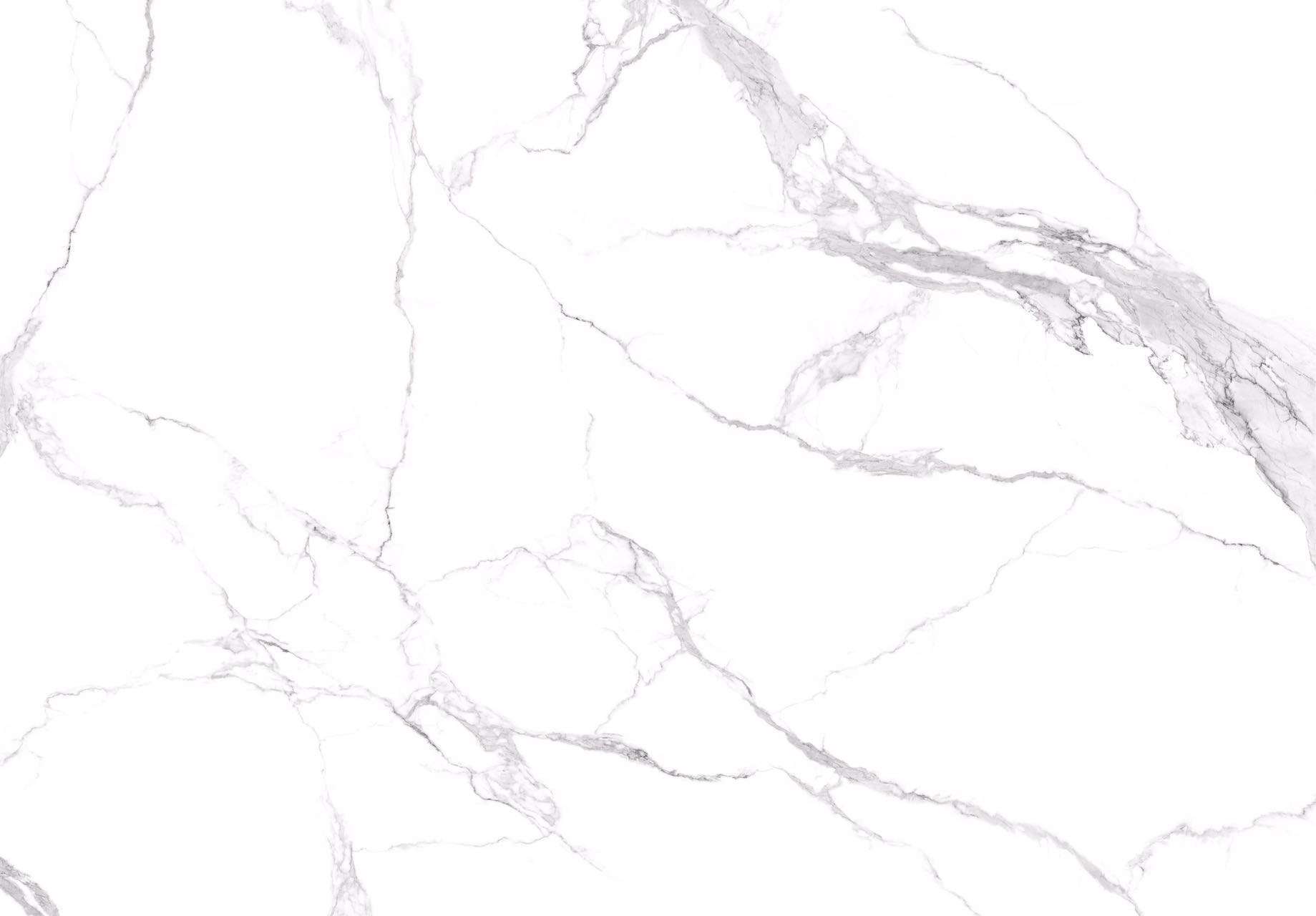 Shower Wall Calacatta Venato Seattle