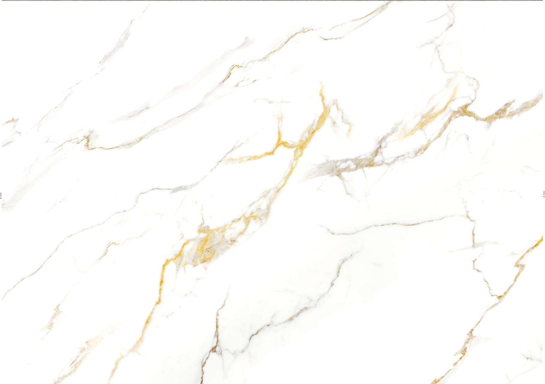 Shower Wall Caltcatta Oro Seattle