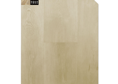 Waterproof Flooring FT8508